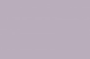 Акушерское сопровождение