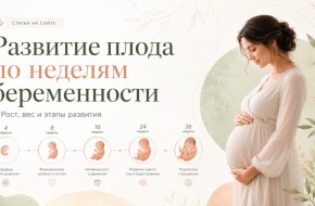 Развитие плода по неделям
